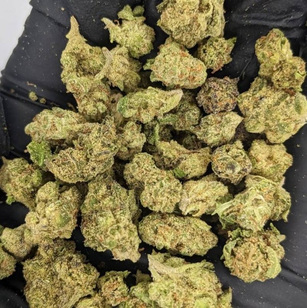 Golden Goat