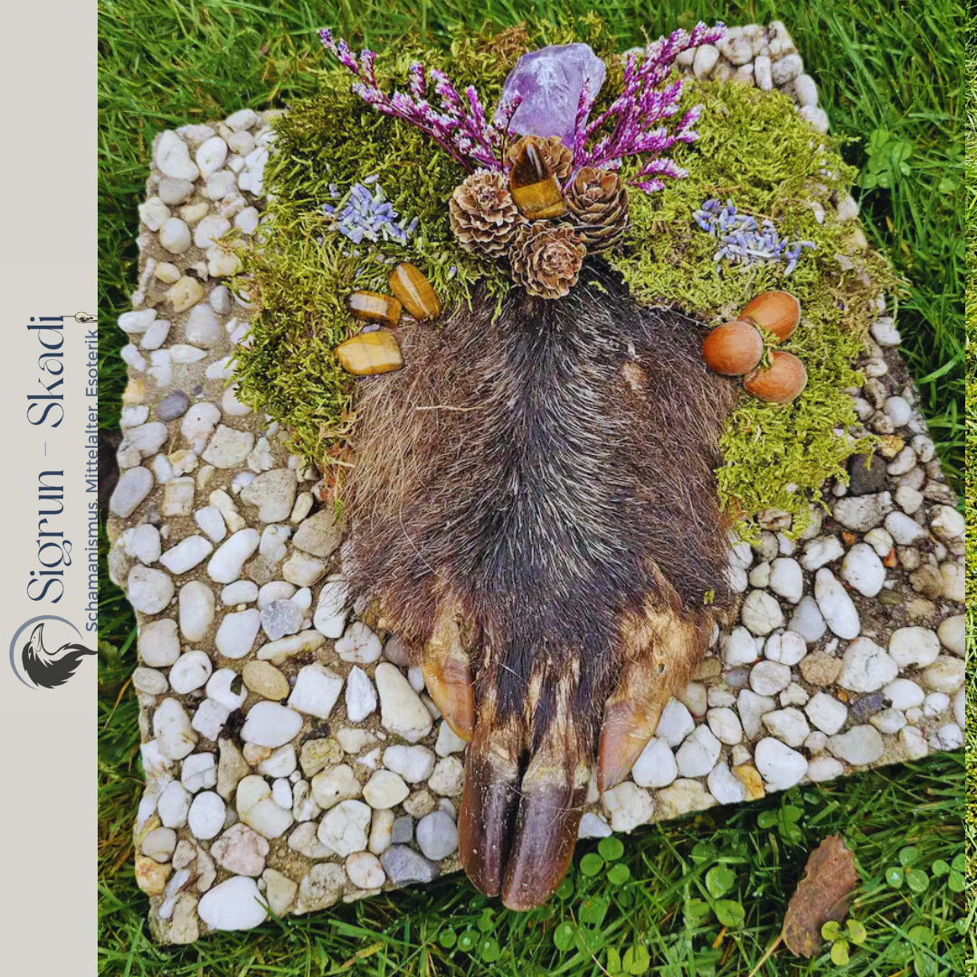 Altar Wildschweinhuf Unikat Einzelanfertigung
