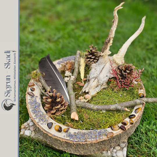 Altar Rehschädel Unikat Einzelanfertigung