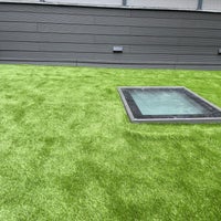 img_8559-standard.jpg