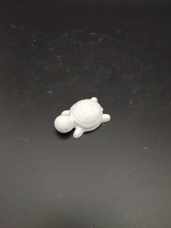 Schildkröte