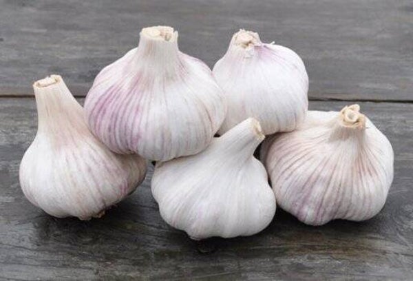 LL - Knoblauch Kilopreis