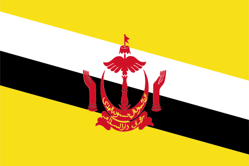 Flag of Brunei icon