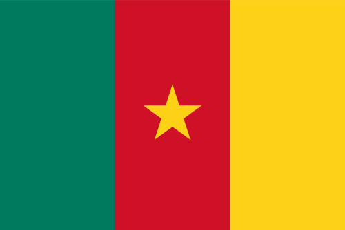 Cameroon flag illustration