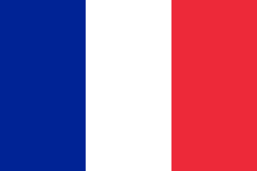 Flag of France icon
