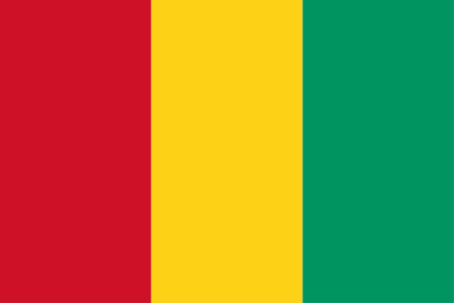 Flag of Guinea icon