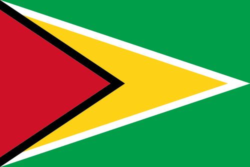 Flag of Guyana icon