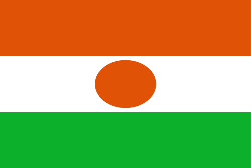 Flag of Niger icon