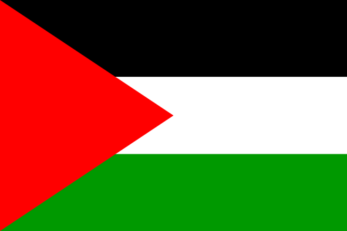 Flag of Palestine icon