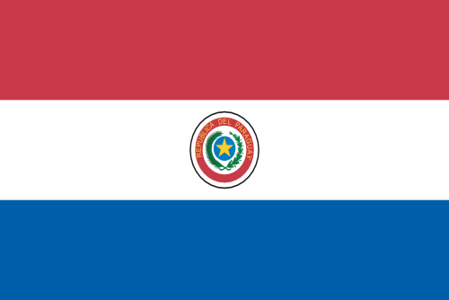 Flag of Paraguay icon