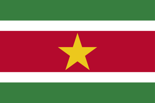 Suriname flag illustration