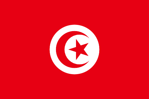 Tunisia flag illustration