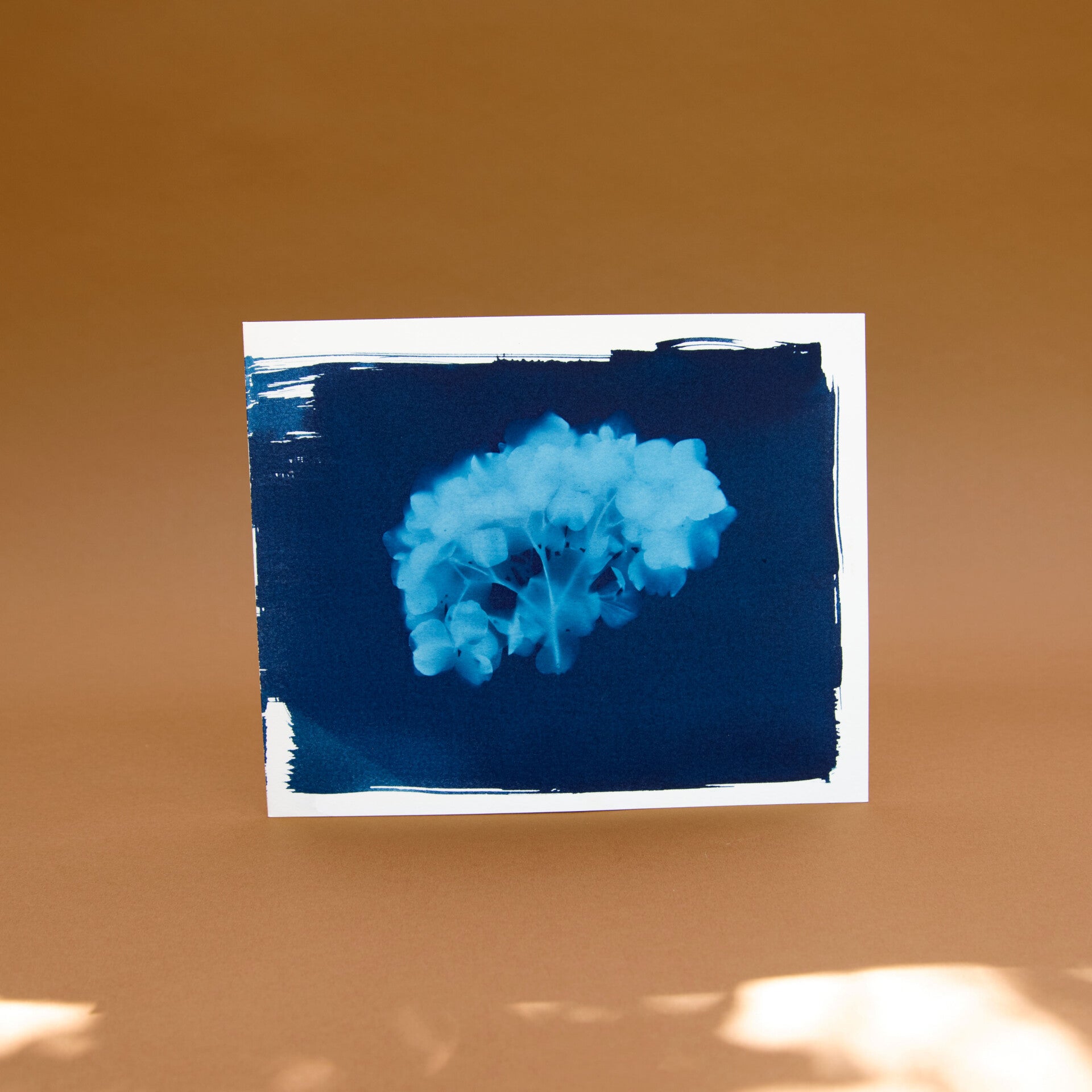 Art print - Hortensia