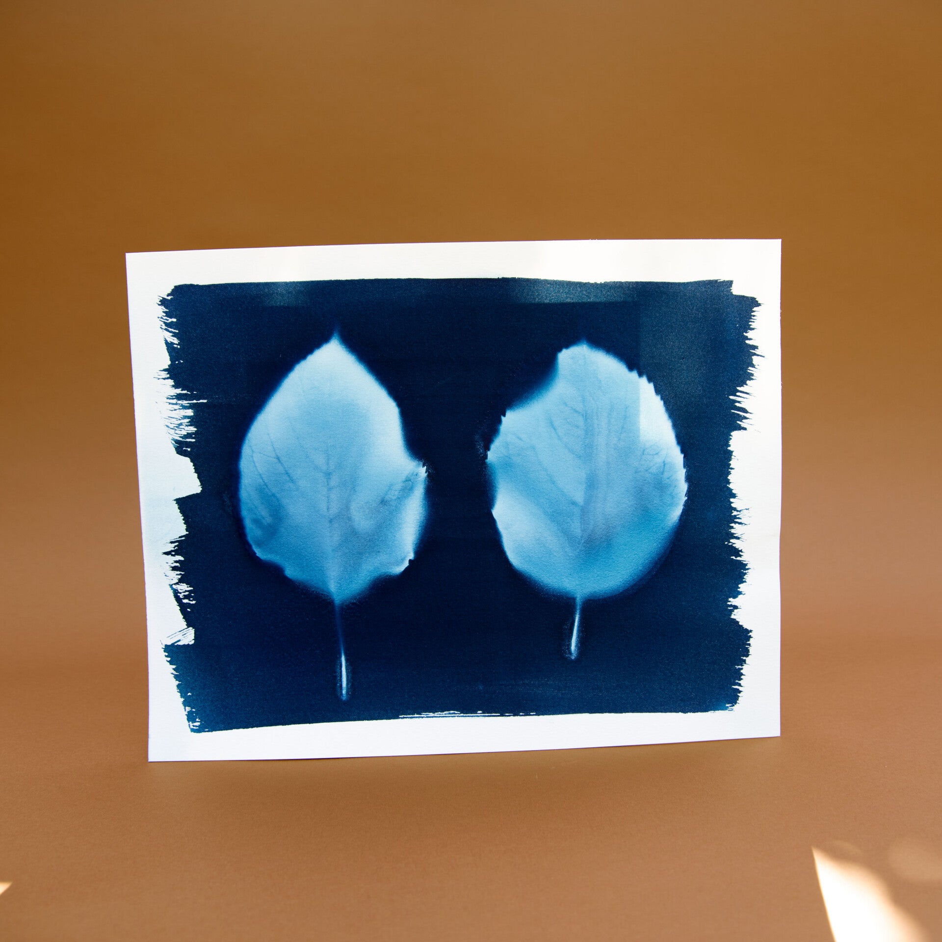 Art print groot - Hortensia blad