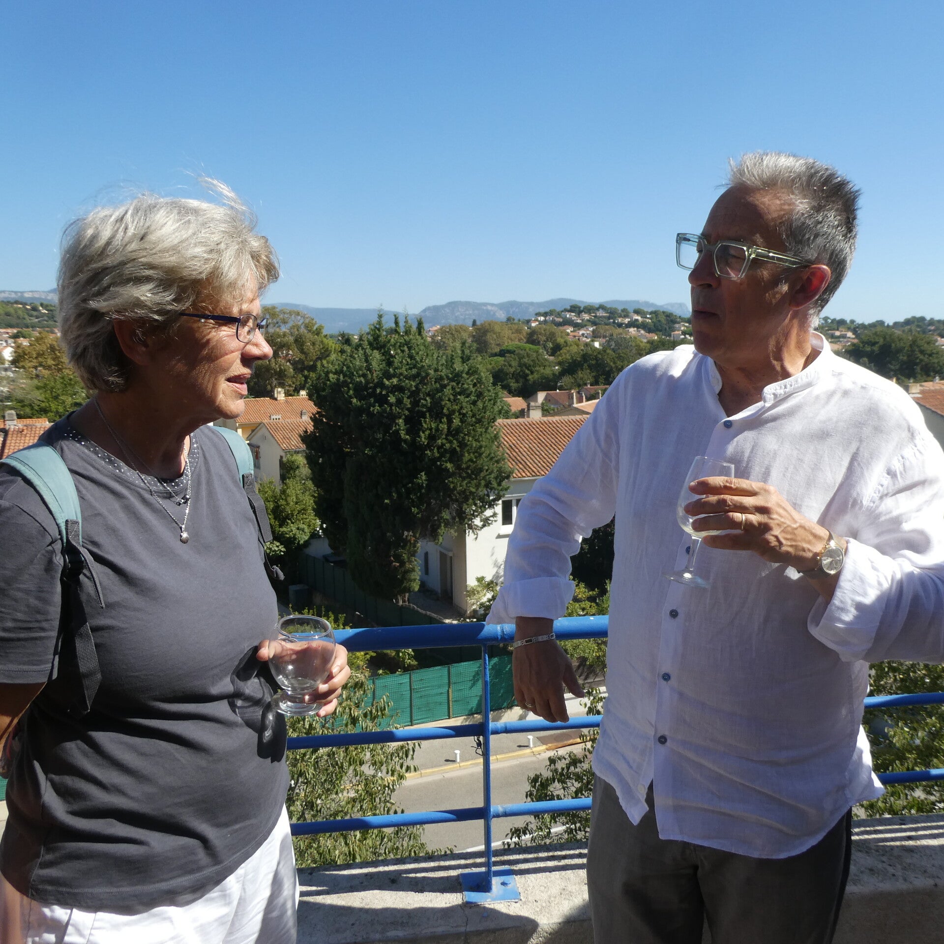 p1050679-standard.jpg