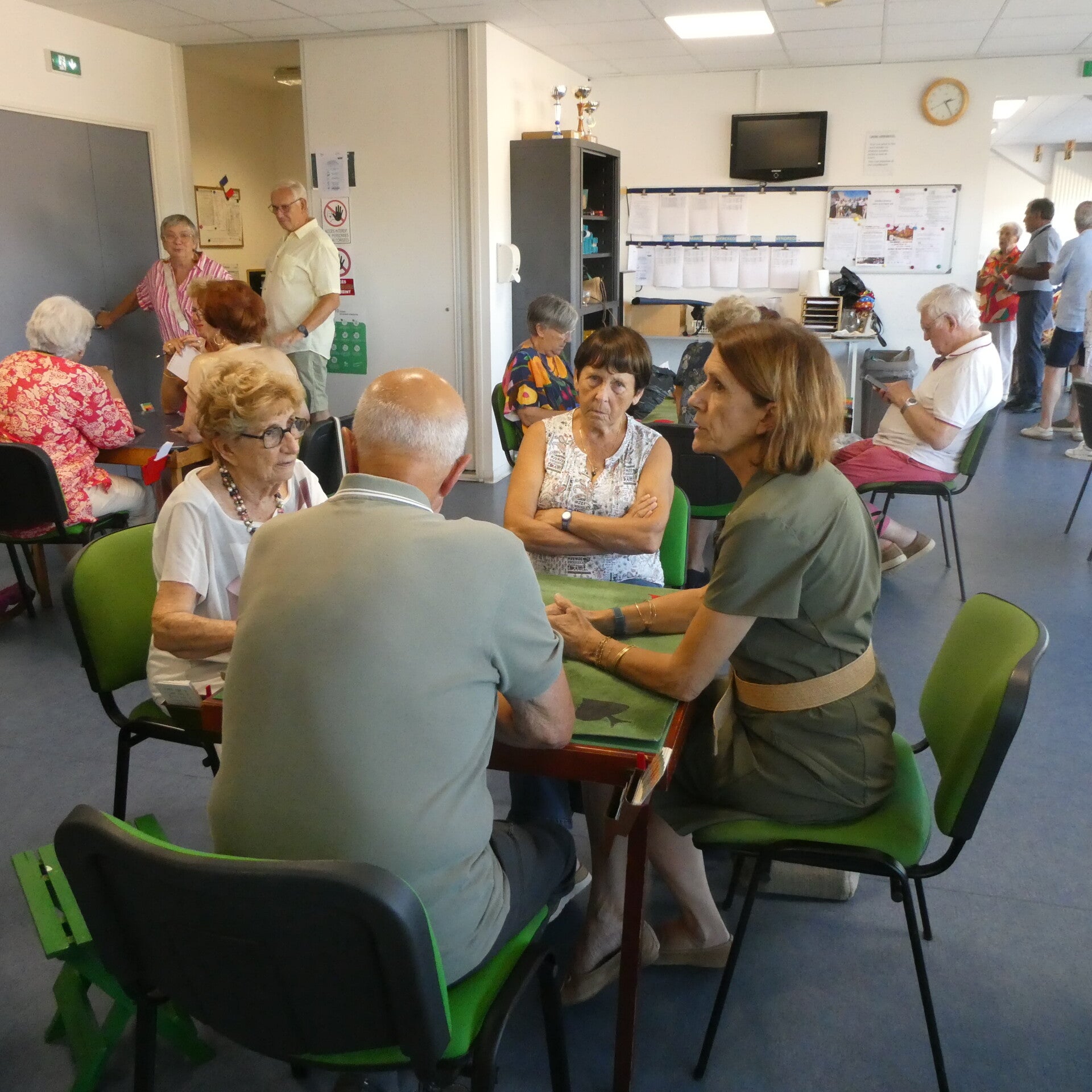 p1050738-standard.jpg