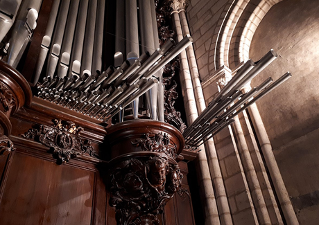 Tuyaux de l'orgue Aristide Cavaillé-Coll de Notre Dame de Paris vues de l'extérieure