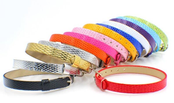 Cat Snake Collection