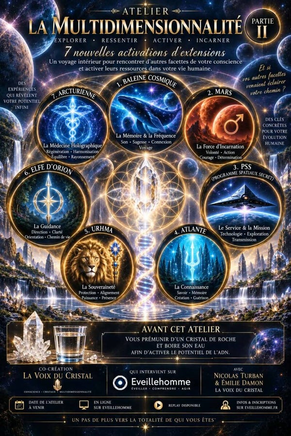 La Multidimensionnalité Partie 2