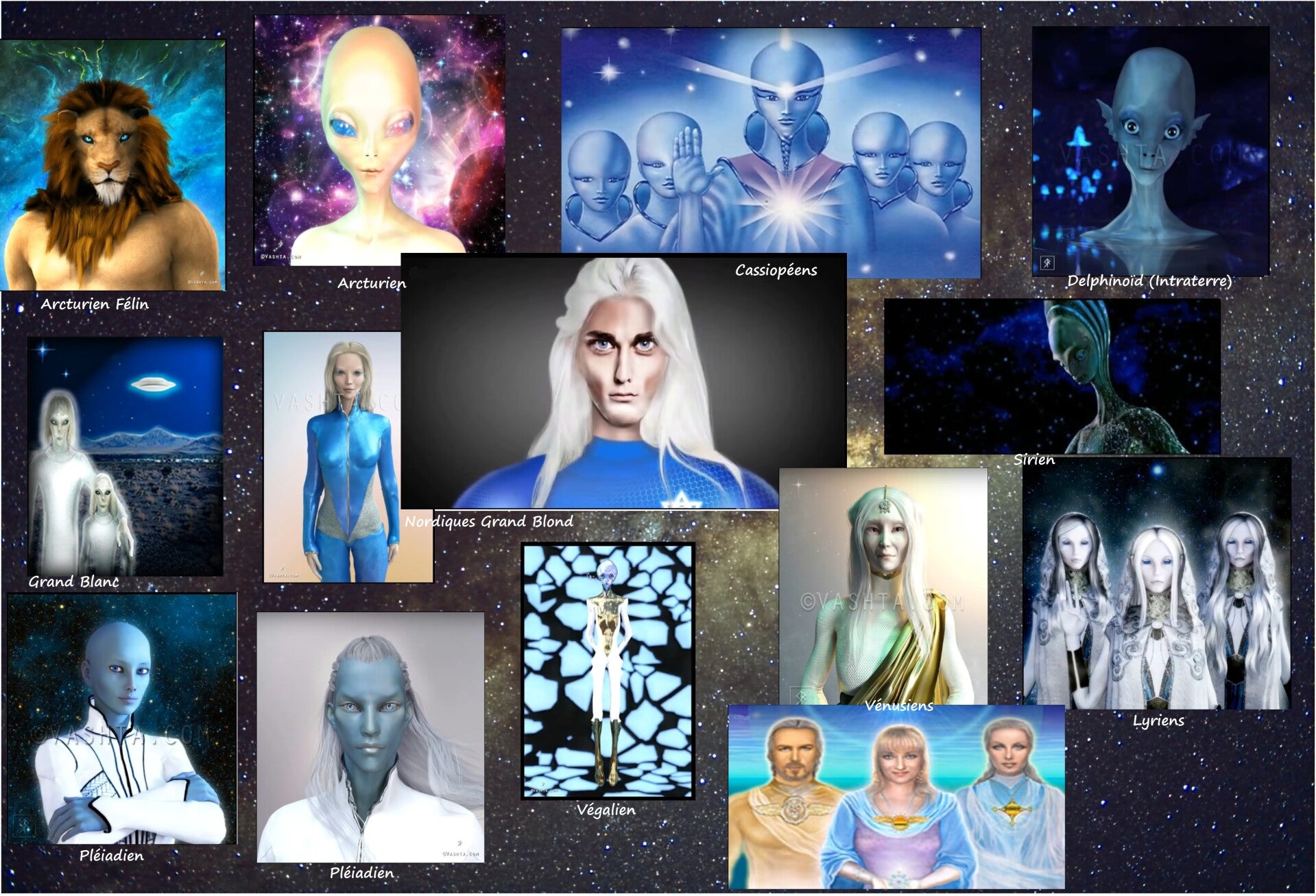 Vibratelier de soins des chakras de la 5D et connexion à sa famille d'Âme Stellaire dans l'Espace du Cœur Sacré