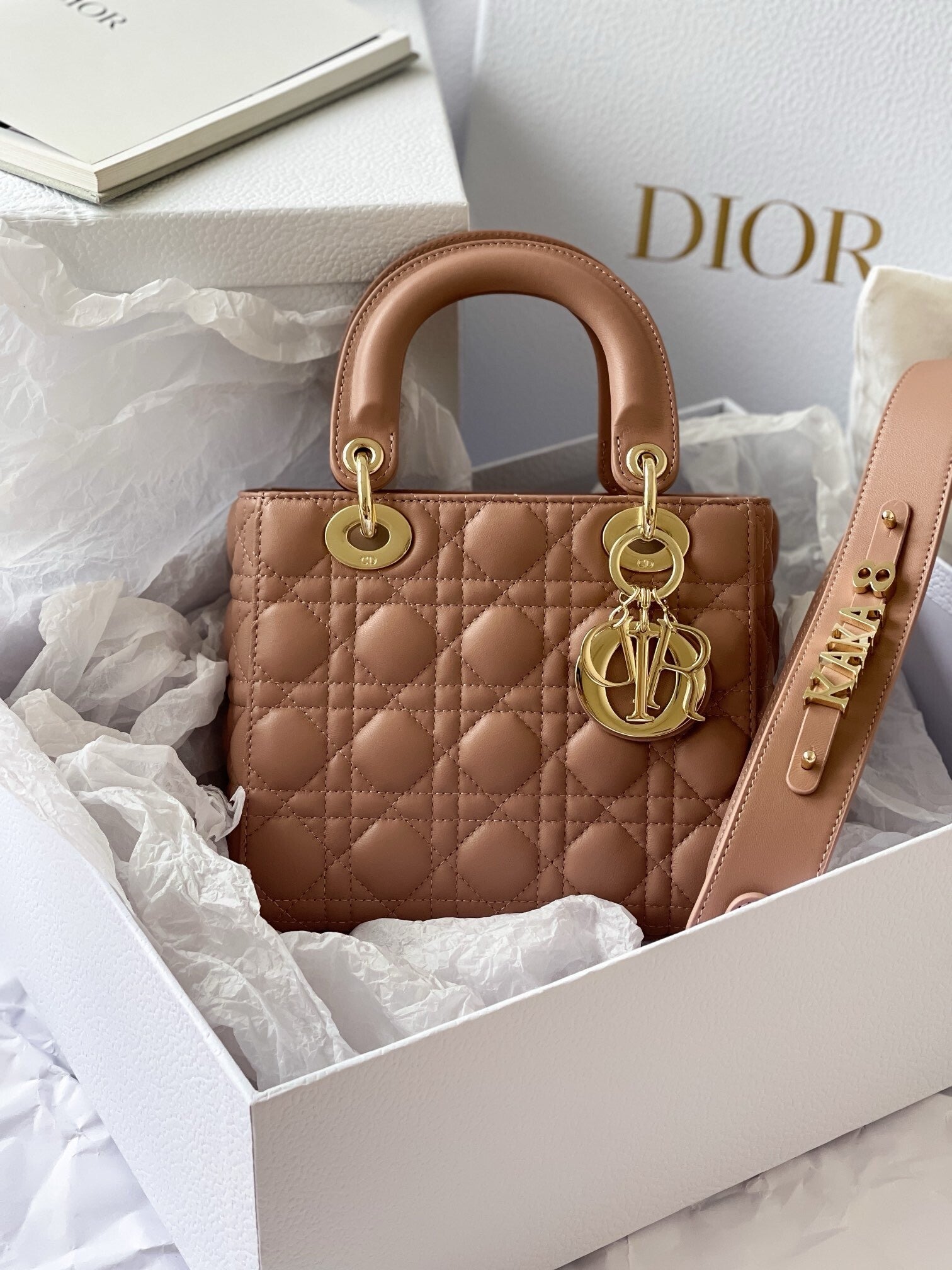 Lady MyABC Dior Bag