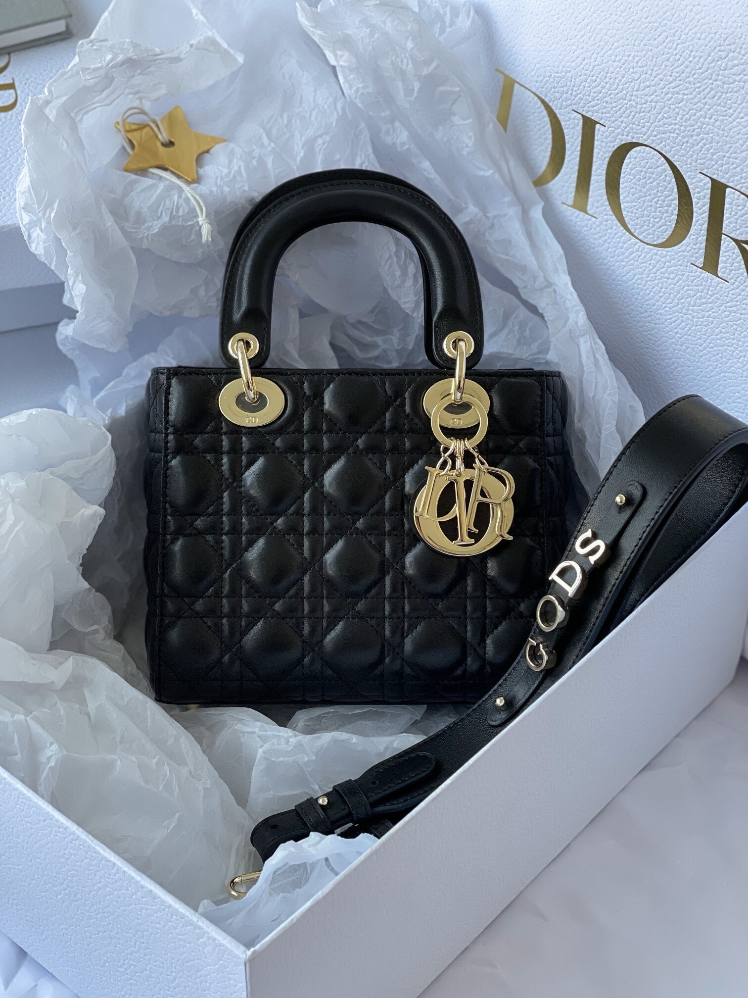 Lady MyABC Dior Bag