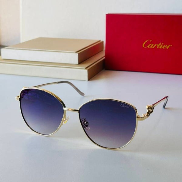 C/T Sunglasses Men Accessories