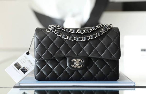 Chanel Classic Small bag Silver