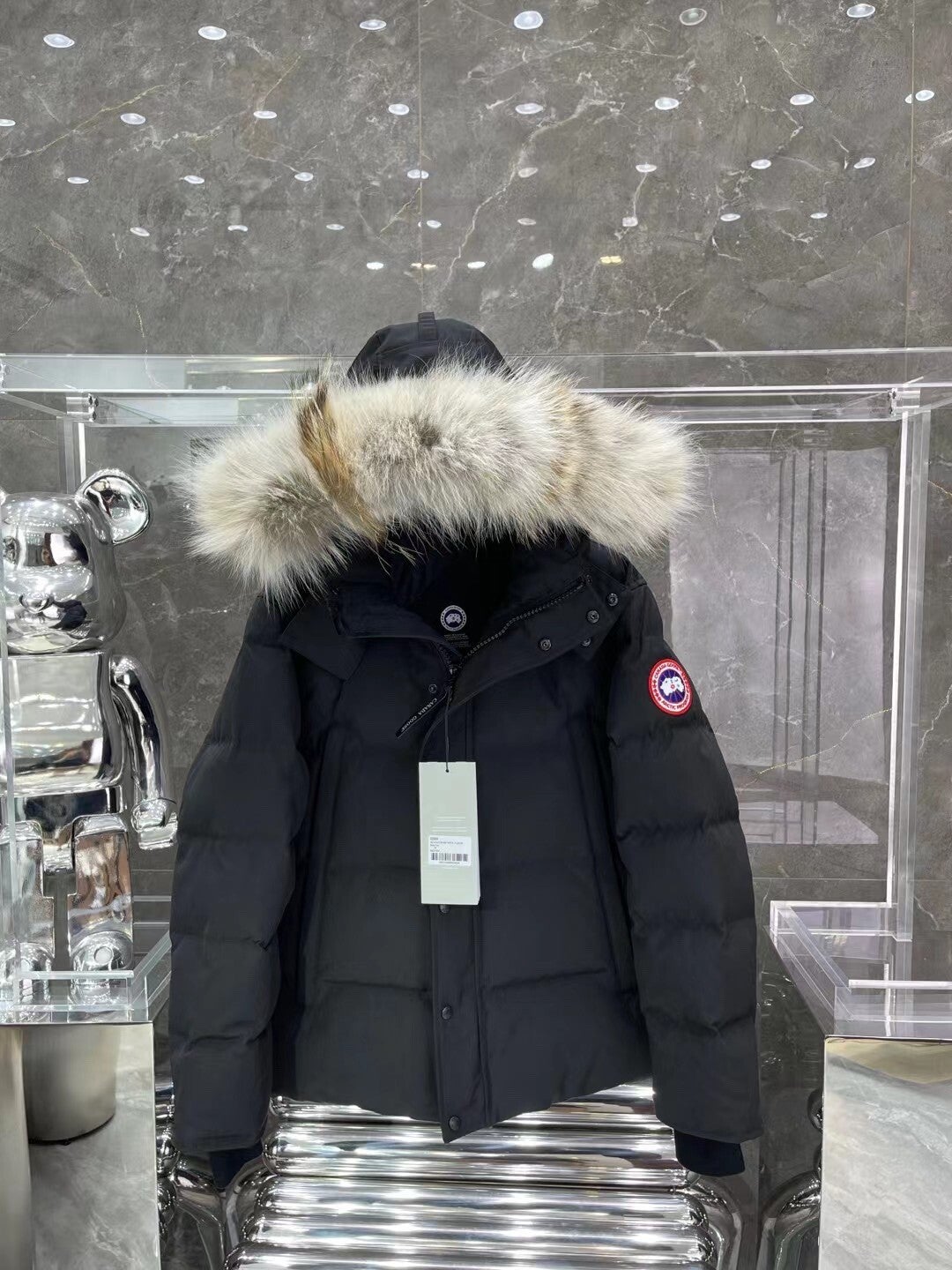 C//nada Goose Men’s down jacket 2023