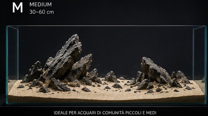 HARDSCAPE M