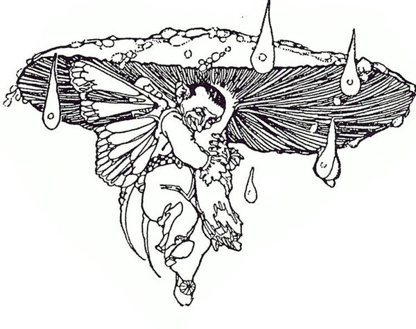 EI K1174/09 Terence toadstool