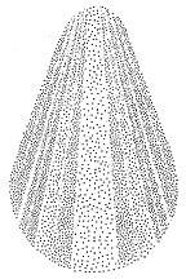 117E Tonal applicator rays