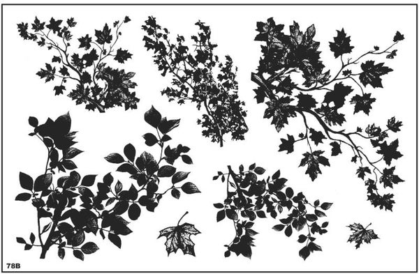 78B-UM Nature sheet #57