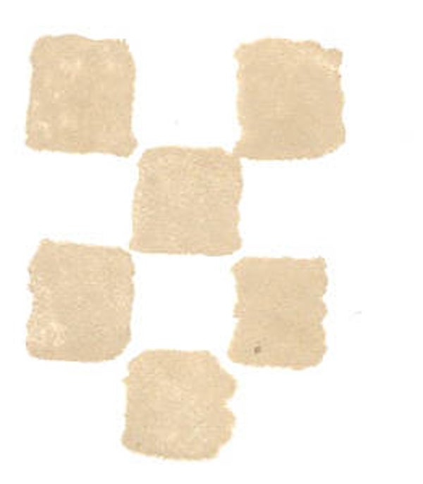 Adirondack stempelkussen Latte