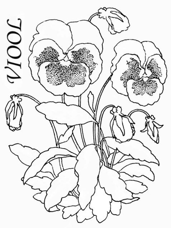 SW P09022/86 Viooltje