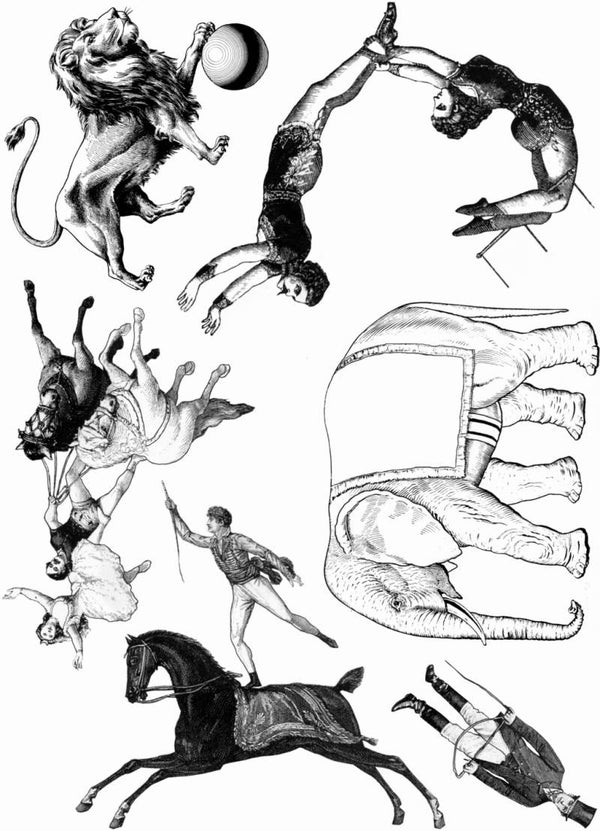 PLATESW128 Plate 128 Circus 2