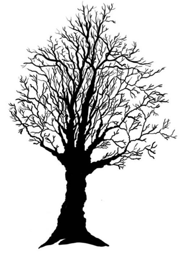 SW Q19024/220 Dode boom groot