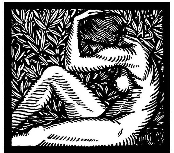 NS Q7901 Heartbroken