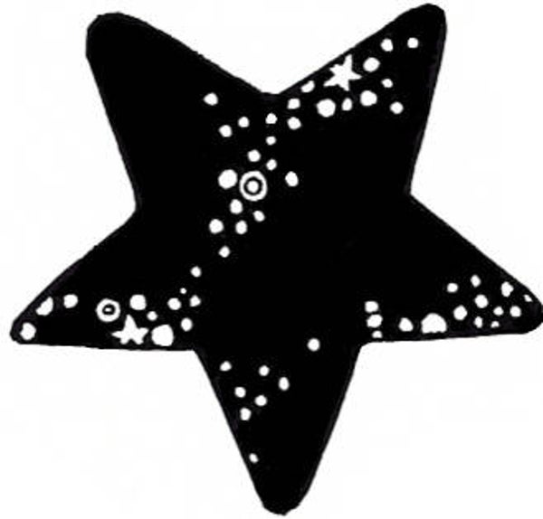 SW E12180/148 Twinkling star