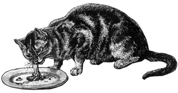 SW K11032/115 Etende poes