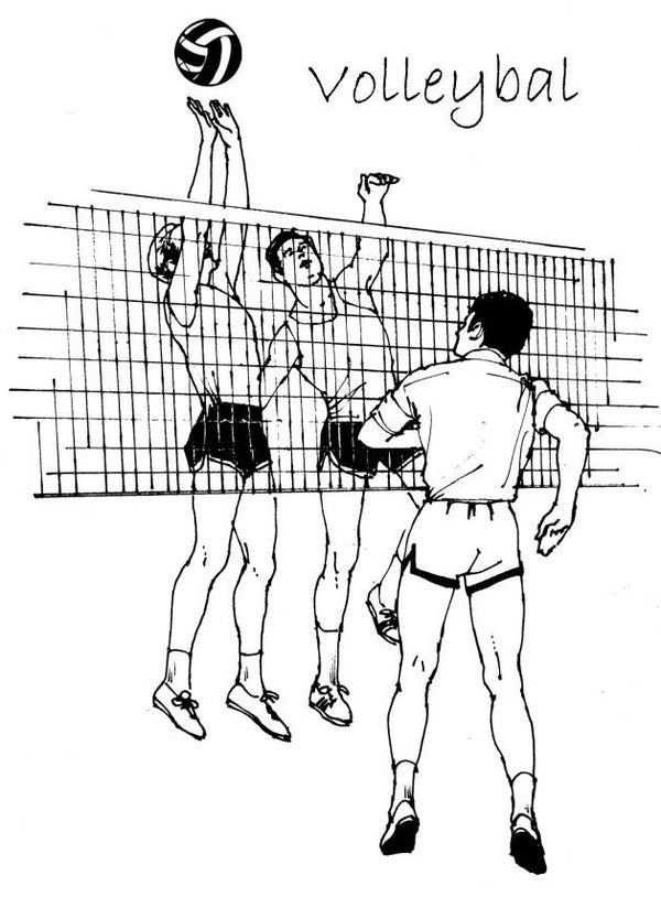 SW R17081/205 Volleybalspelers