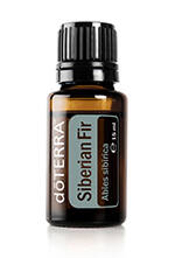 Siberian Fir