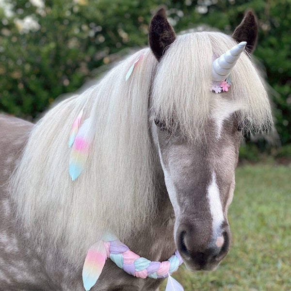 Eenhoornhoorn voor pony