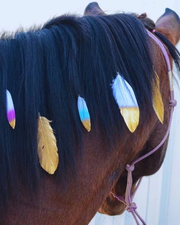 Manenveren voor paarden en pony's - Set van 3