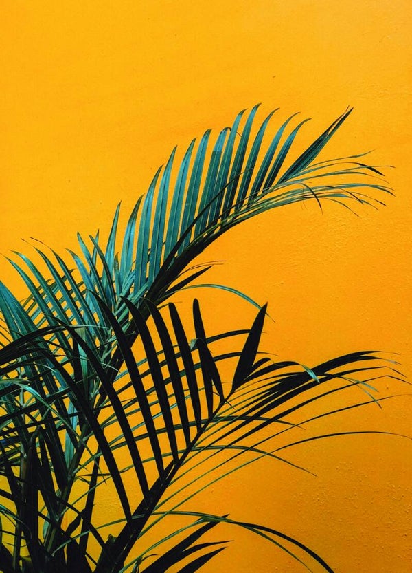 Postkaart - Nature - by Twist Lifestyle