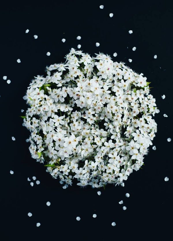 Postkaart - MOD - bloemen zonder tekst - by Twist Lifestyle