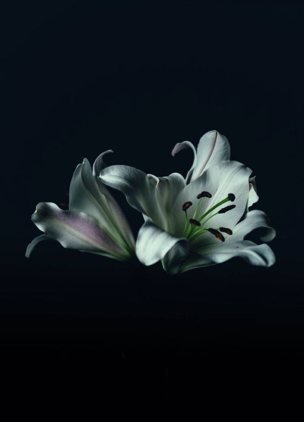 Postkaart - MOD - bloem zonder tekst - by Twist Lifestyle