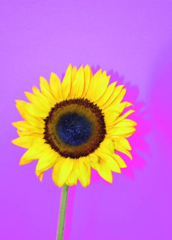 Postkaart - Nature - by Twist Lifestyle