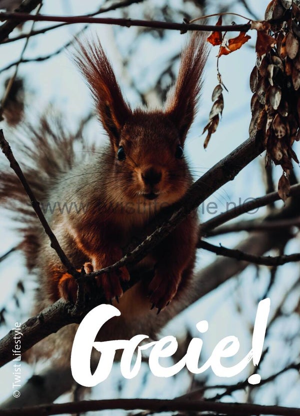 Postkaart - Goeie! - Frysk - by Twist Lifestyle