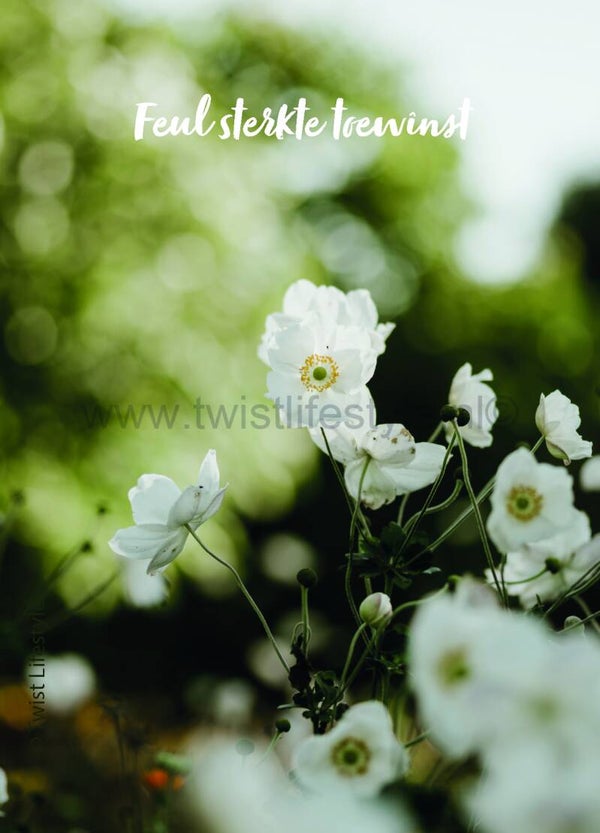 Postkaart - Sterkte (1) - Bildts - by Twist Lifestyle